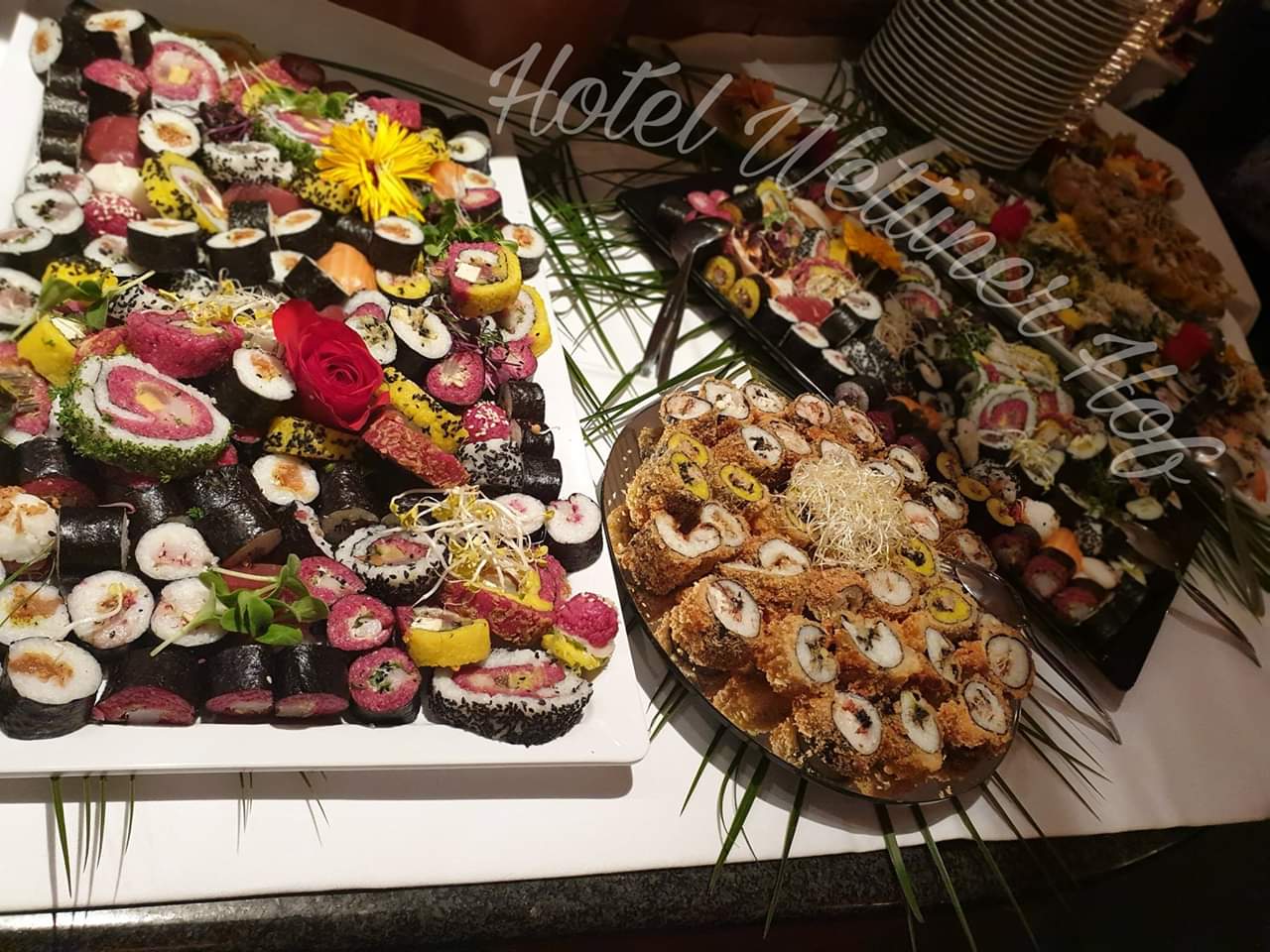 IMG-20190619-WA0007