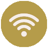 icon_wlan100pxred